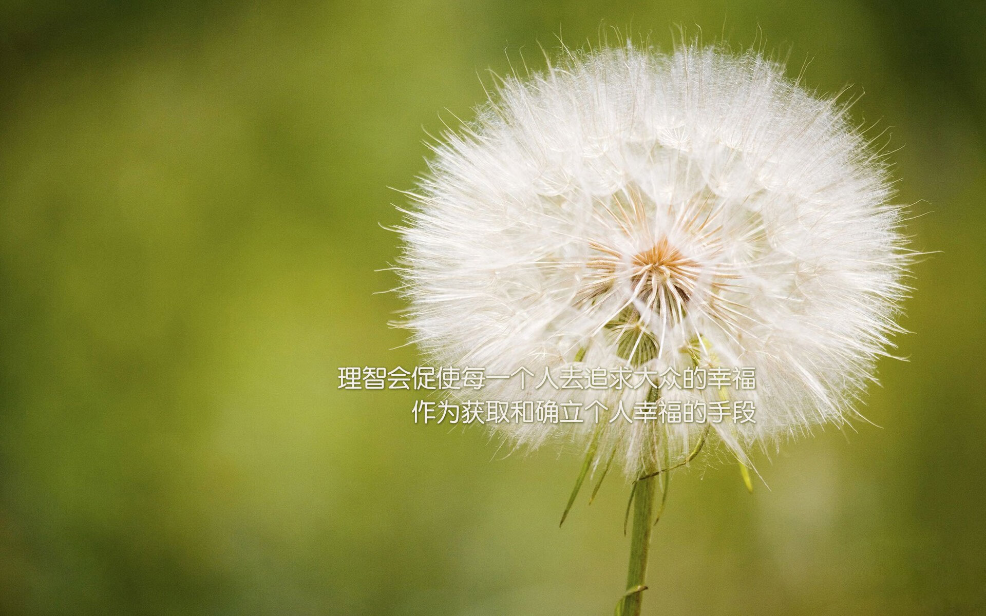 2024季后赛：勇士在关键战中库里的三分狂潮带领球队逆转！，nba2021勇士进季后赛了吗