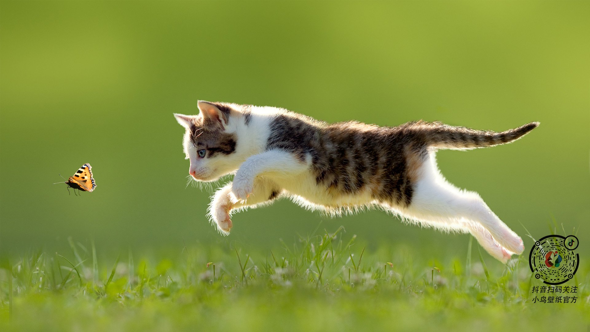 AC米兰队-_猛龙队内线强硬，面对对手毫不退缩_，猛龙队员