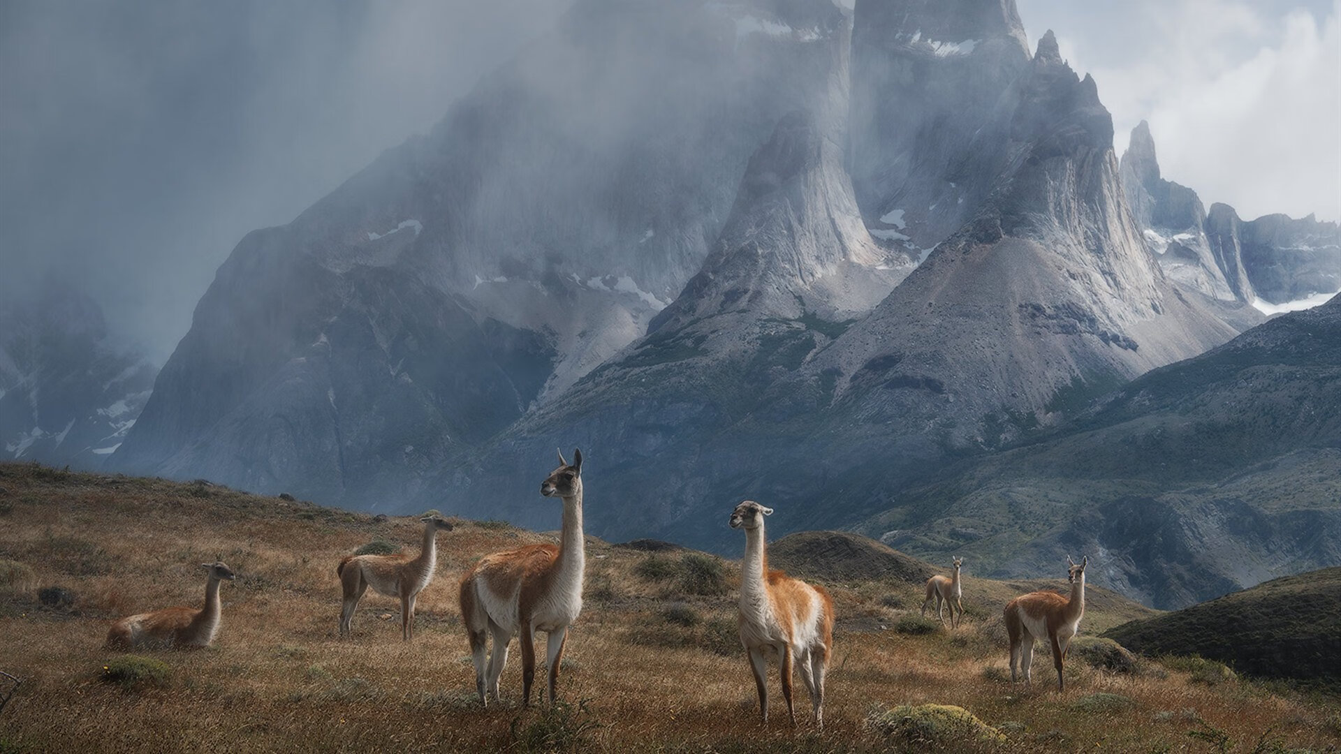 MILAN体育-全国青少年“篮球裁判”实训营在北京举行，提升裁判水平，校园篮球裁判培训