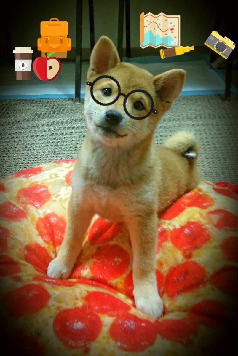 史上最浓墨重彩的盖帽大战,谁的“封堵”最惊人?,盖帽是谁