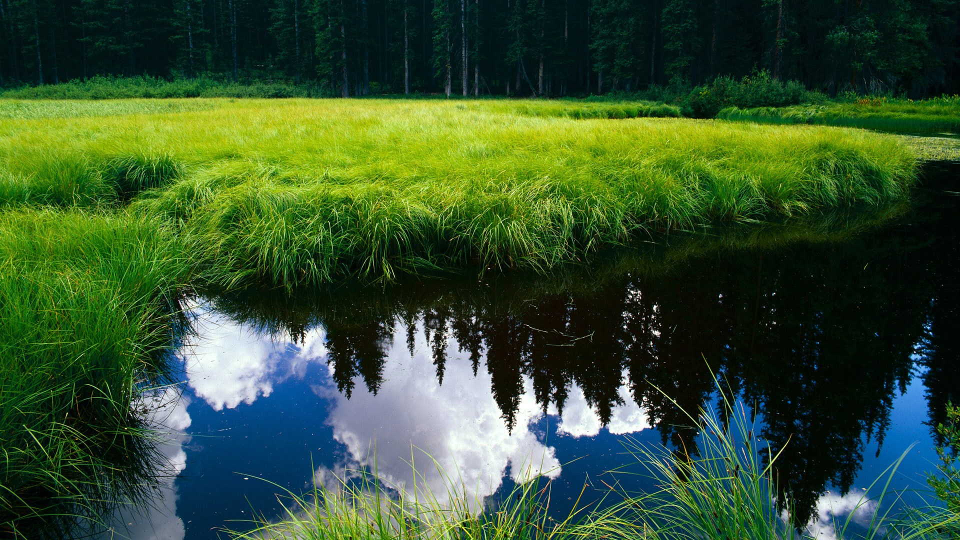 中国米兰官方-奥运之光：英格兰门将五连扑救，2021年英格兰门将