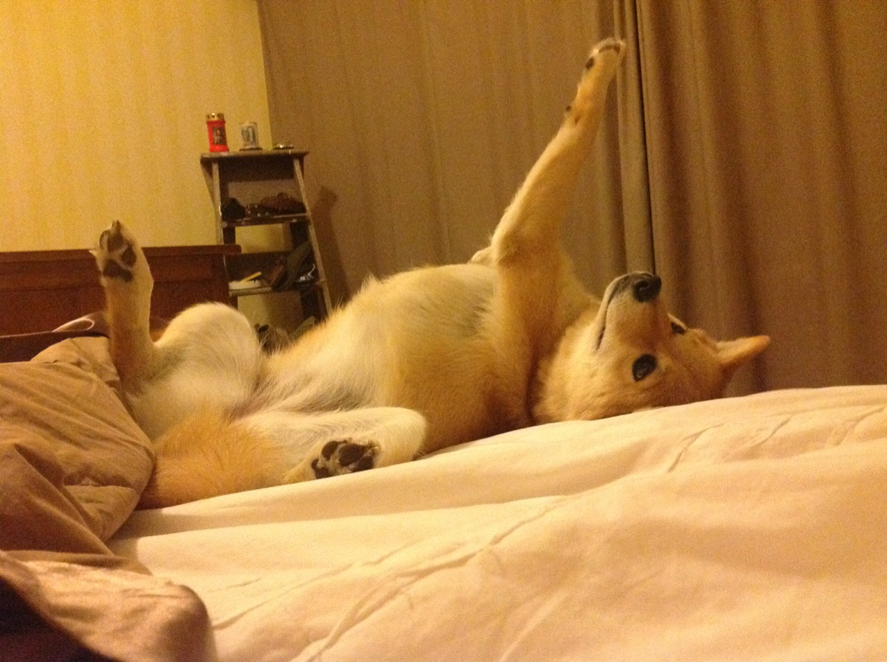 上场时间控制是否影响球员节奏,上场方式