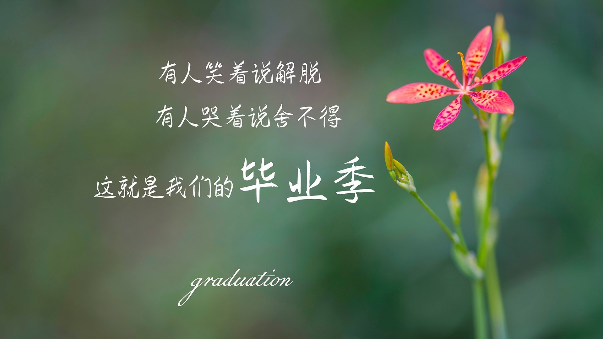 米兰体育APP-亚洲篮球联赛观众热情持续高涨，亚洲篮球比赛叫什么