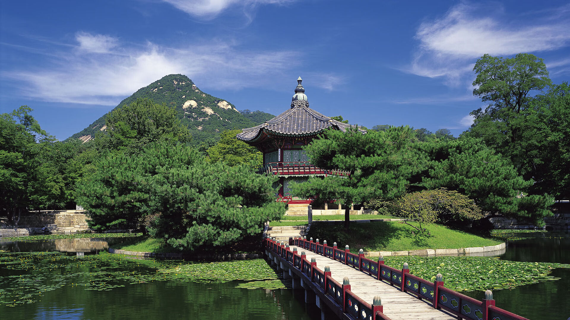 米兰体育网页版登录-国足战术执行力稳步提高，国足战术执行力稳步提高的原因