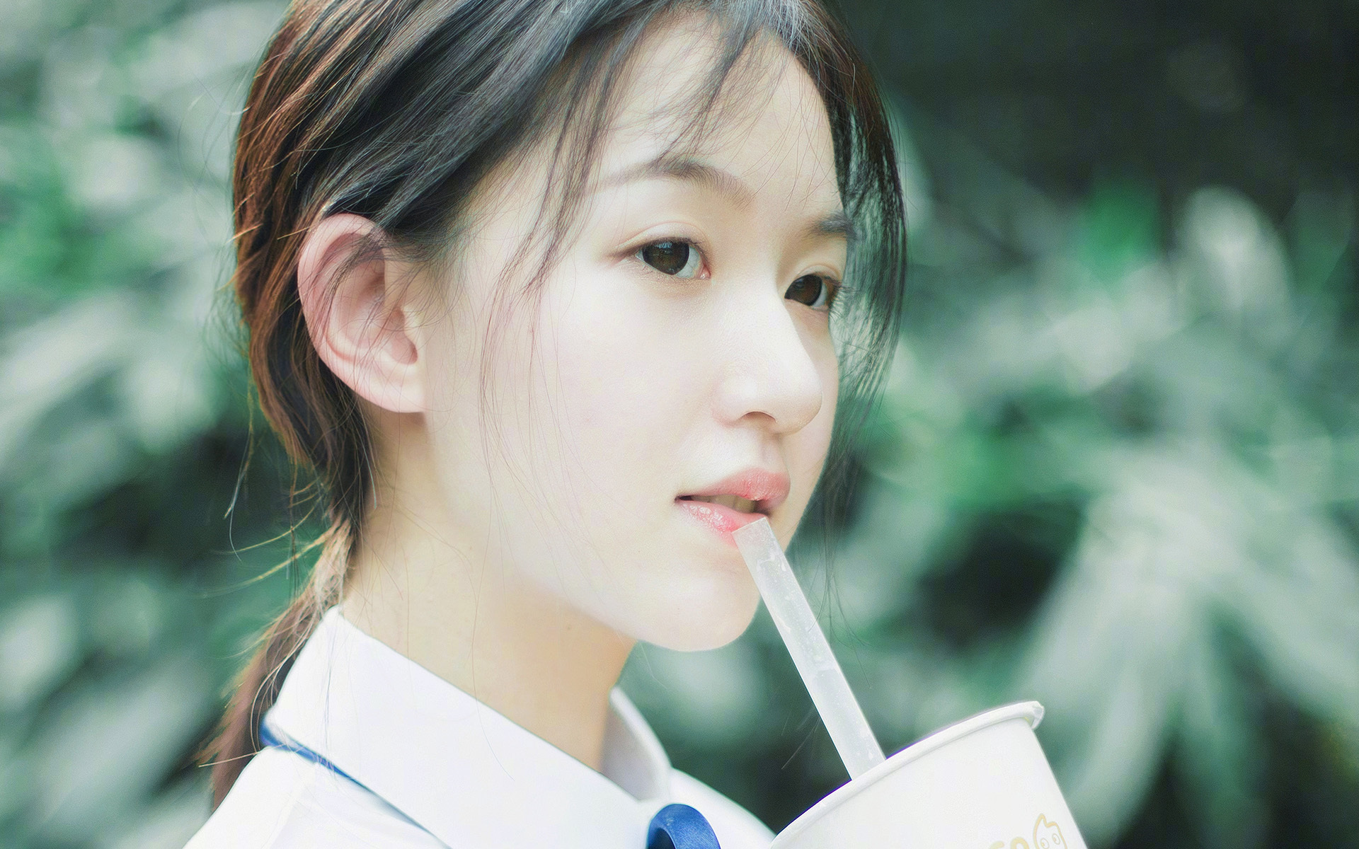 太阳队球队主场战绩稳步上升,太阳球队专区