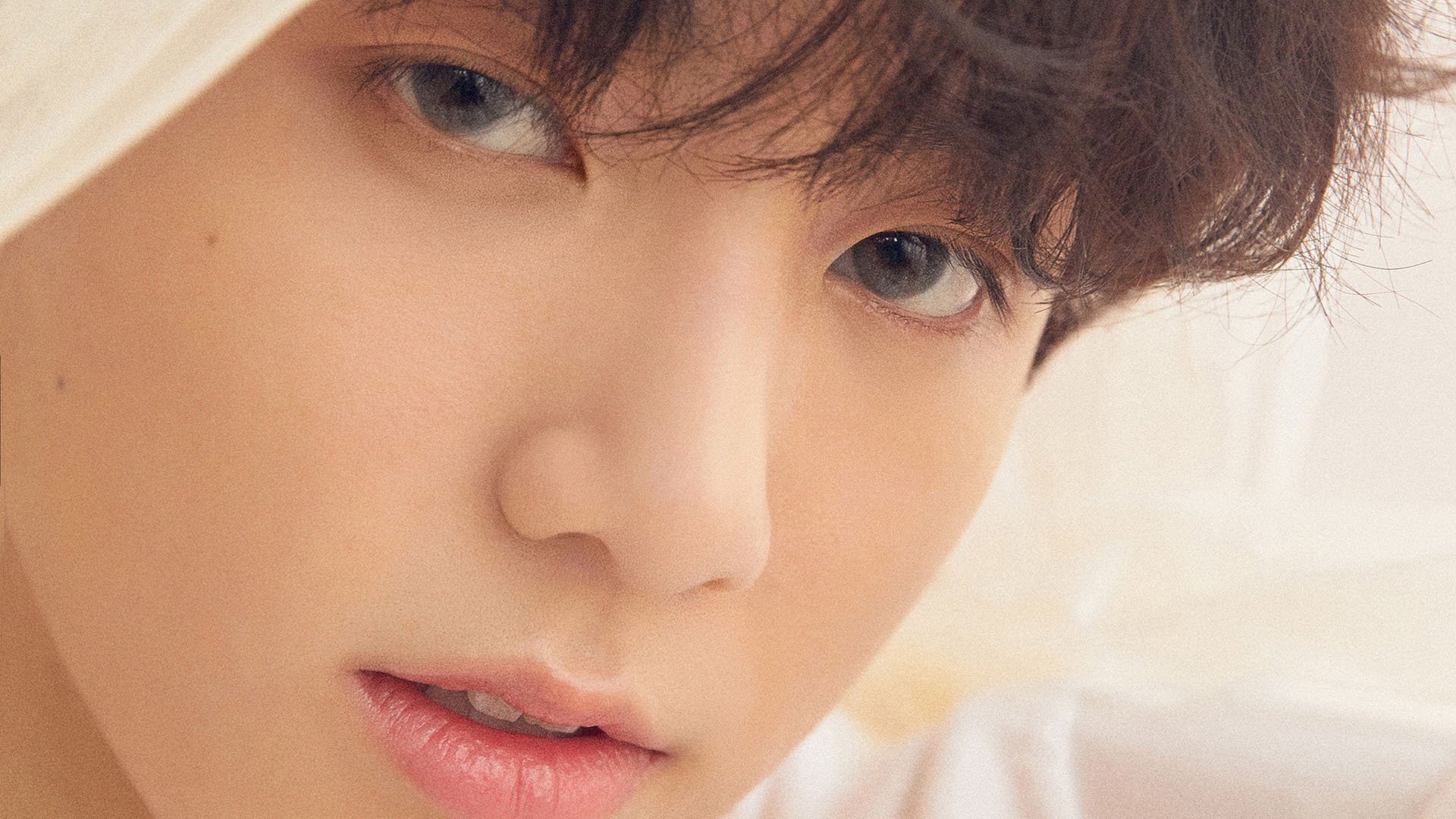 川崎前锋球员转会动态，川崎前锋 转会