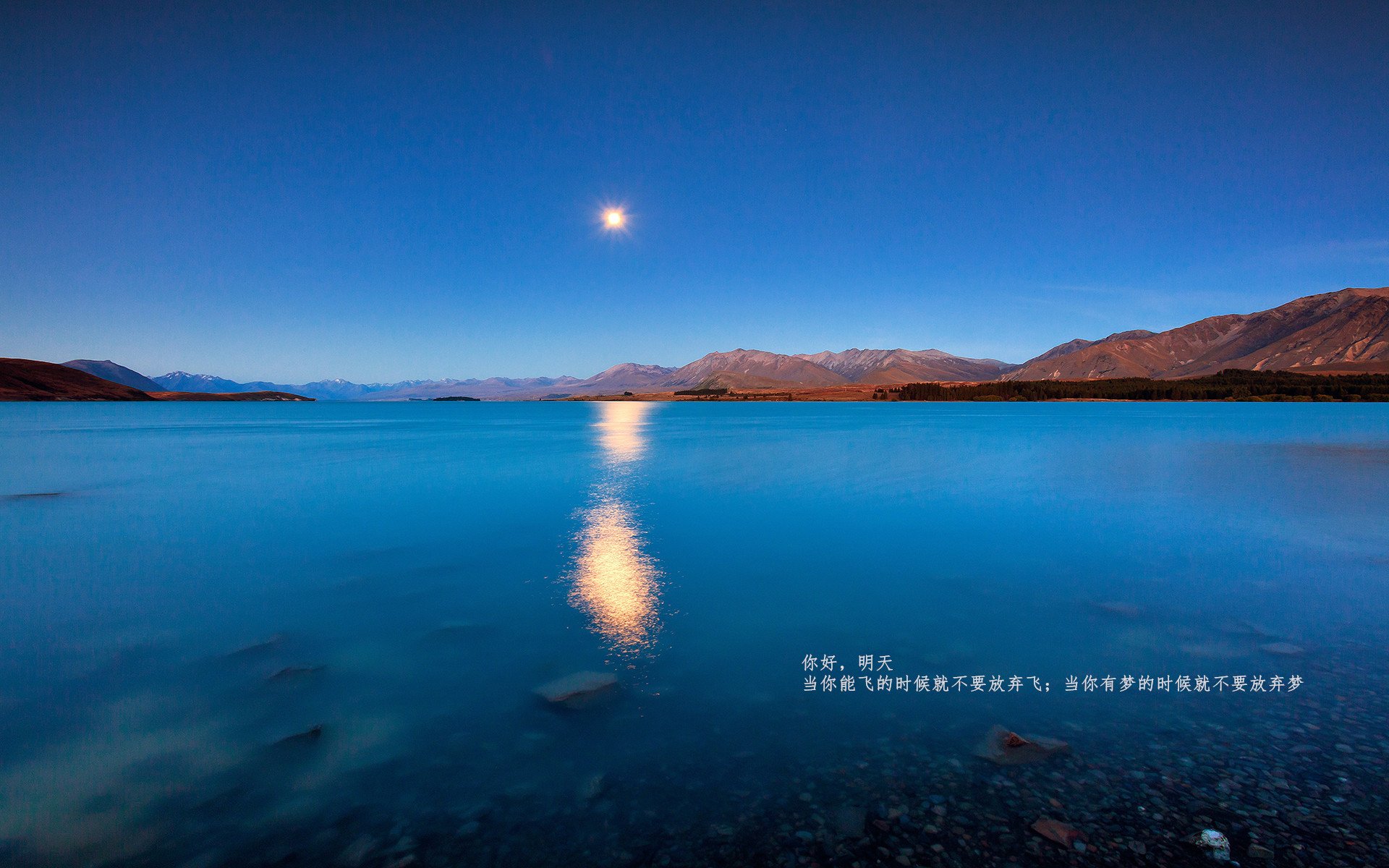 纽卡斯尔联全力拼搏,捍卫主场荣誉!,纽卡斯尔联队