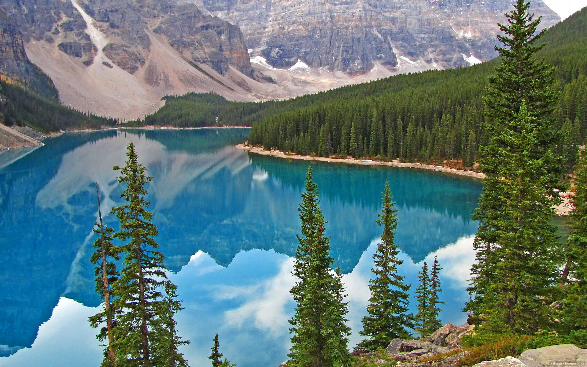 阿根廷队创造历史,首次晋级美洲杯四强,阿根廷夺美洲杯