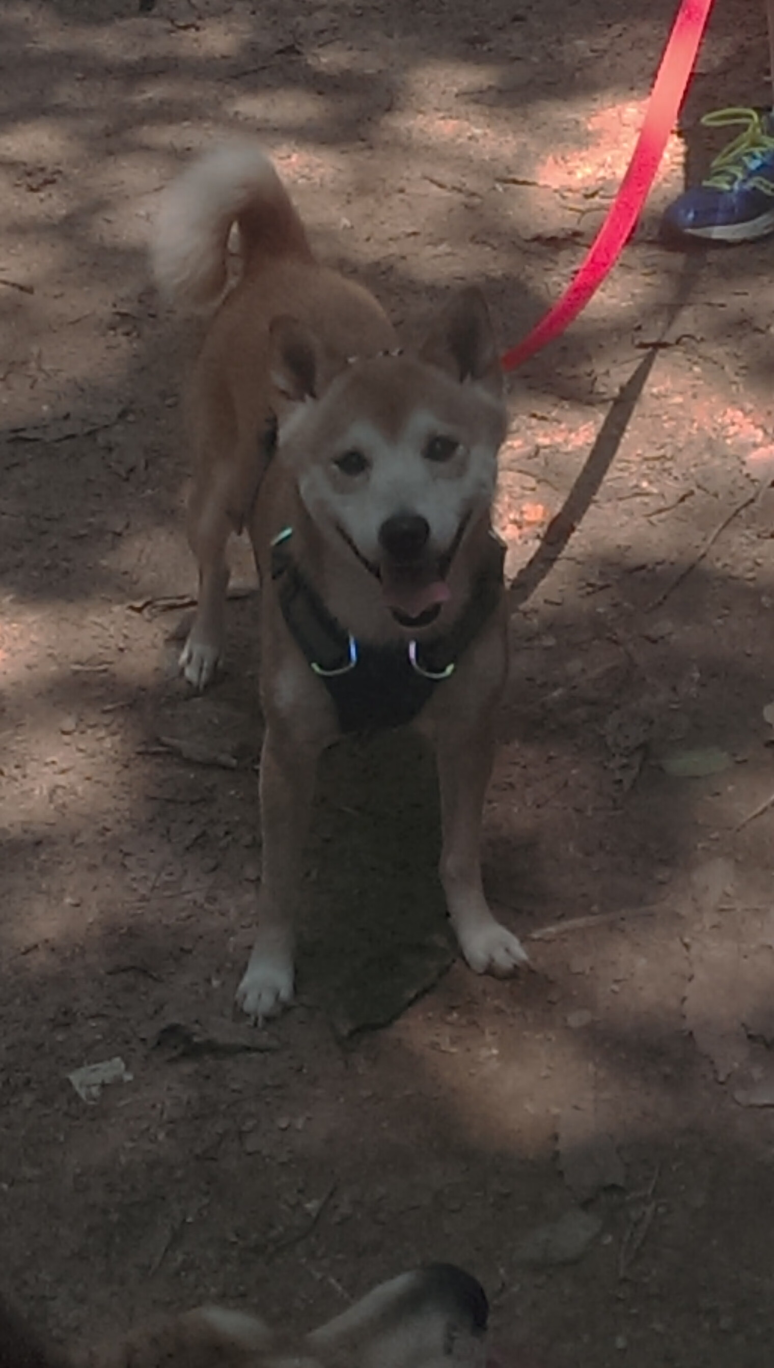 中国米兰官方-体育产业融资环境优化，体育产业融合的效应与方式有哪些