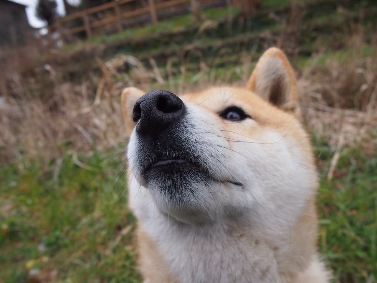 全民健身宣传融入社区志愿服务机制,全民健身志愿服务系列活动