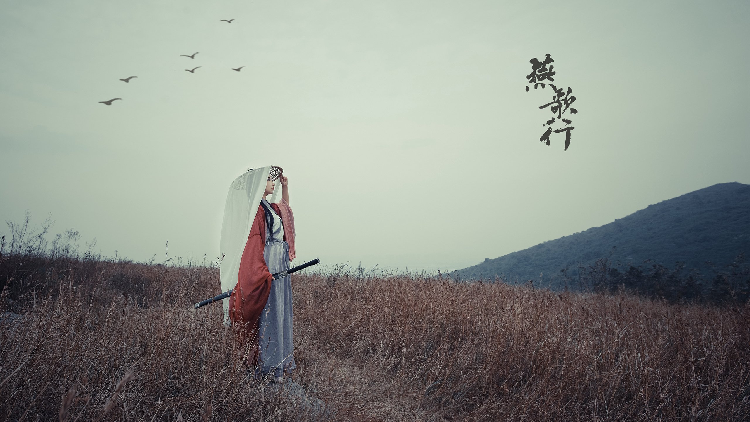 篮球场馆资源调配是否合理高效,篮球场馆的经营与管理