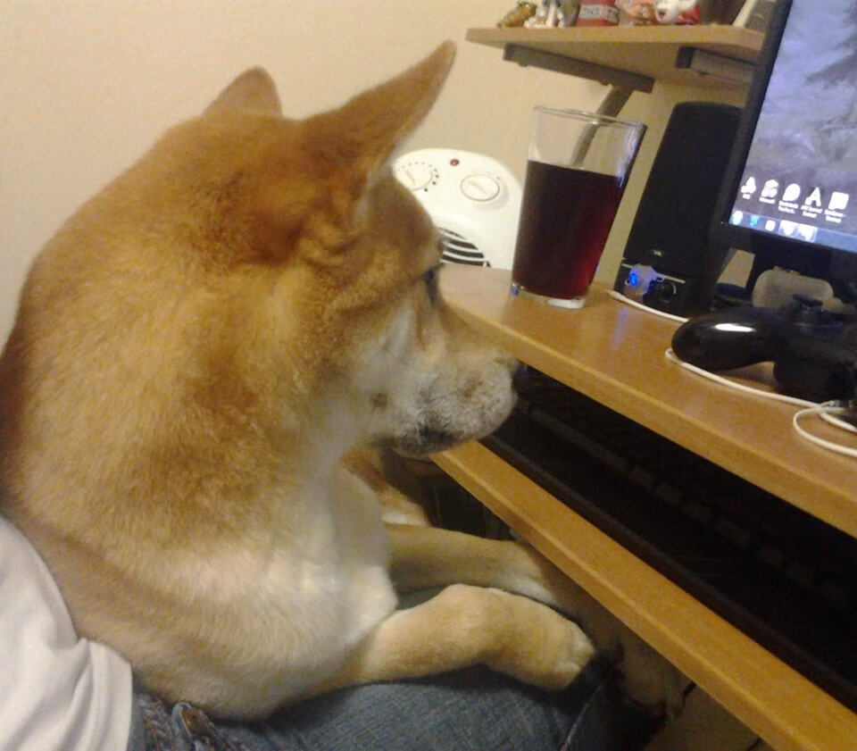 国家级足球体育产业园区加快布局,打造综合性足球产业生态圈,足球产业主要经营内容