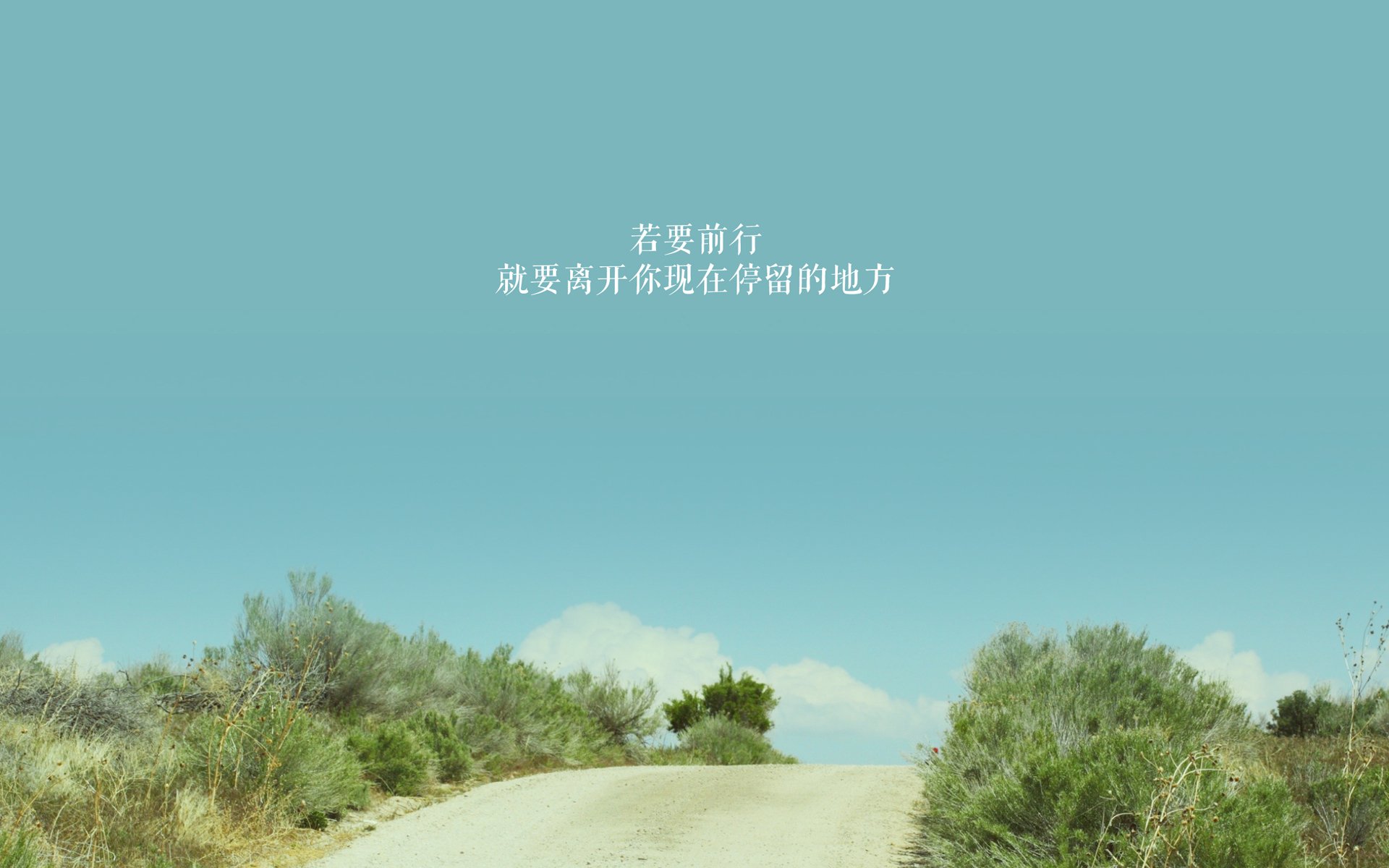 -数字化裁判员培训平台获得行业高度认可，提升裁判水平，裁判认证系统