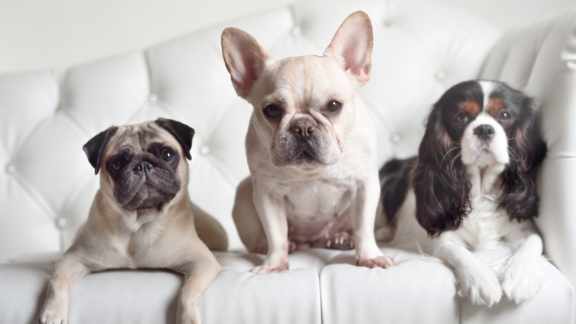 米兰体育APP-贝尔哈德·福特：凭借无畏的防守精神，增强了全黑队的硬实力，贝尔福特妻子纳丁